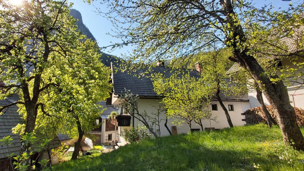 Apartmaji Pekovec 博希尼 外观 照片