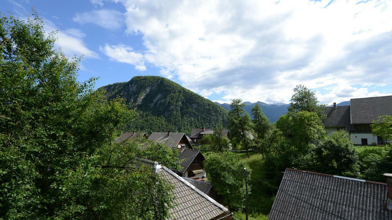 Apartmaji Pekovec 博希尼 外观 照片
