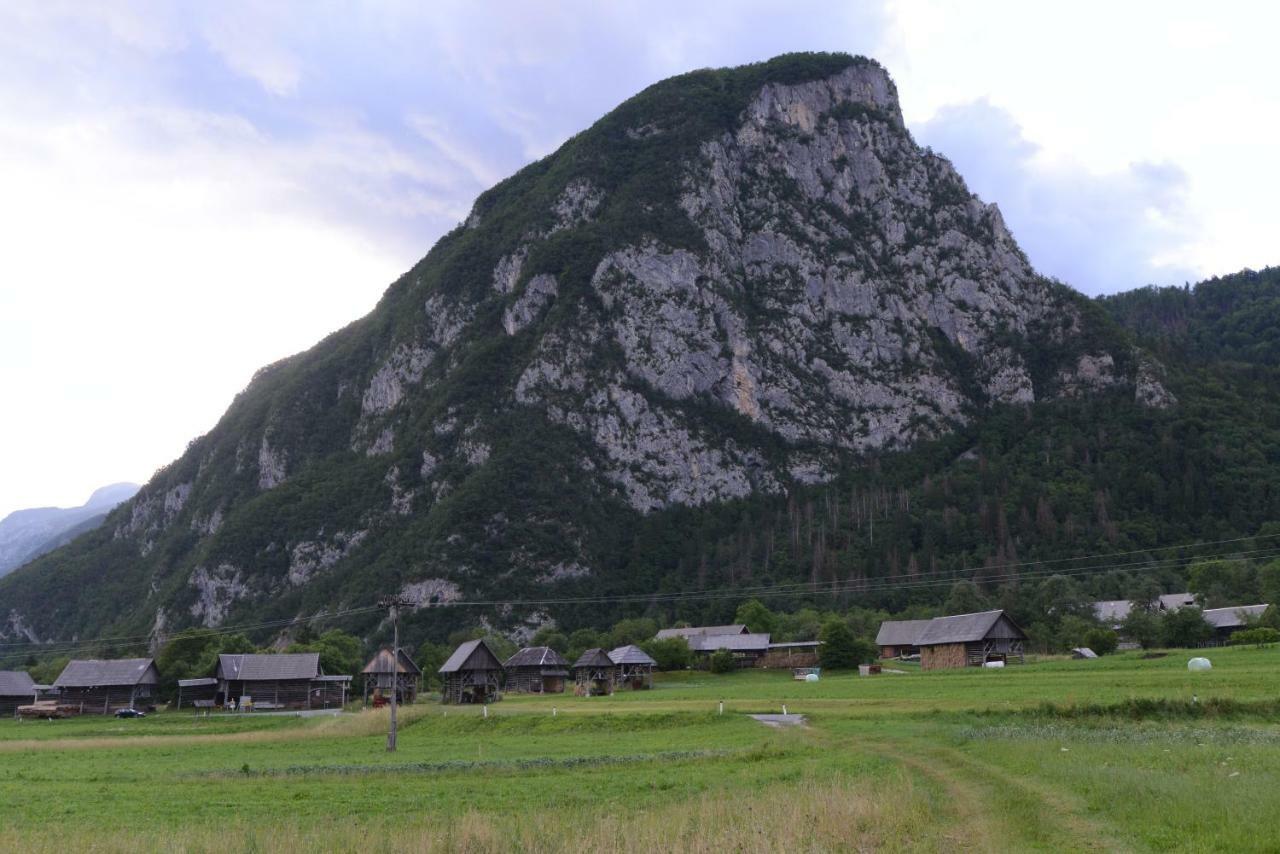 Apartmaji Pekovec 博希尼 外观 照片